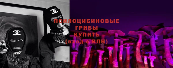 СК Новодвинск