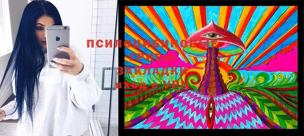 jwh Новозыбков