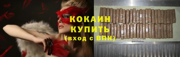 СК Новодвинск