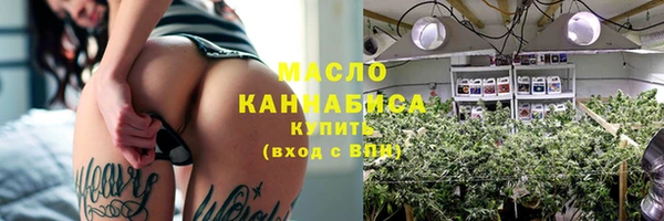 СК Новодвинск