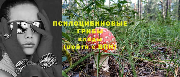 Альфа ПВП Новокубанск