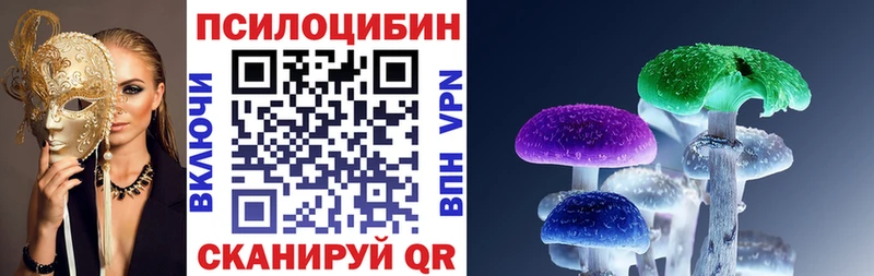 Купить закладки  Сухой Лог  Псилоцибиновые грибы Magic Shrooms 