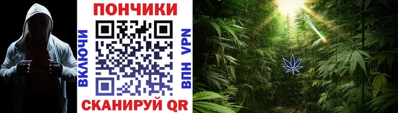 Купить  Сухой Лог  Бошки Шишки OG Kush 